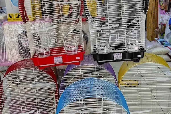 EMPATİ PETSHOP - Resim 18