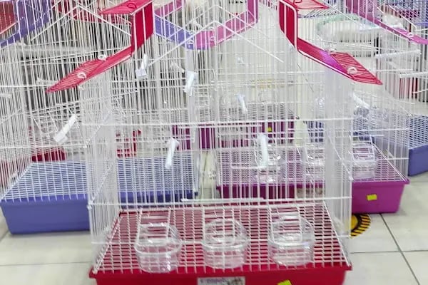 EMPATİ PETSHOP - Resim 13