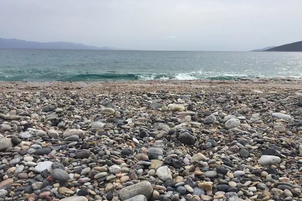 Bodrum Kampı - Resim 5