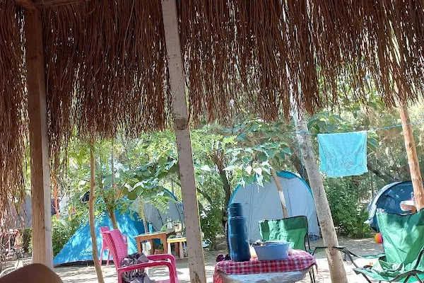 Bodrum Kampı - Resim 2