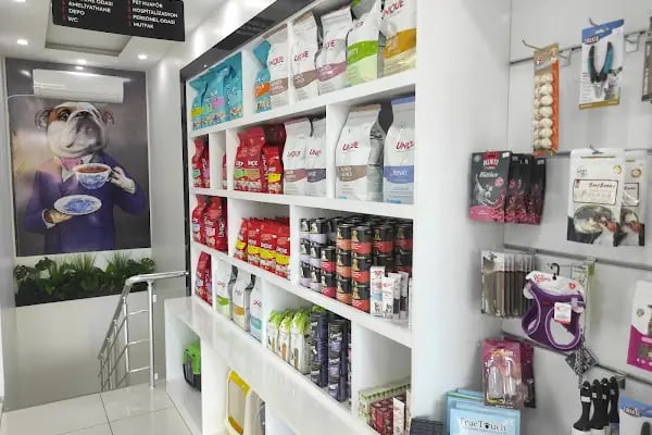 Patikule 7/24 Veteriner Kliniği Bahçeşehir Ispartakule - Resim 10