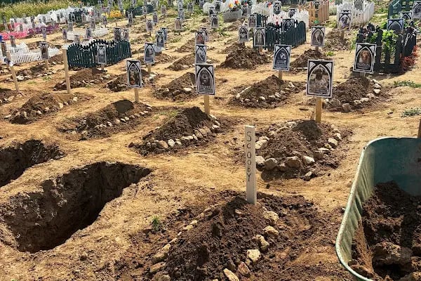 Buca Gazi Veteriner Polikliniği - Resim 16