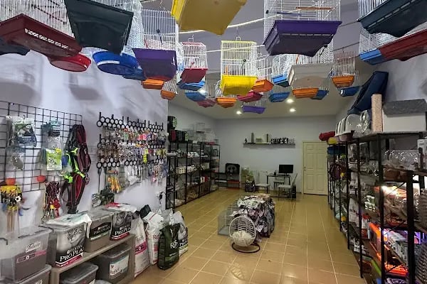 ŞAKA PETSHOP - Resim 3