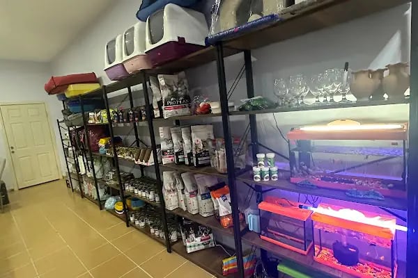 ŞAKA PETSHOP - Resim 4