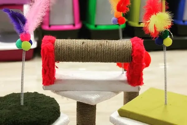 Ayyıldız Petshop - Resim 4