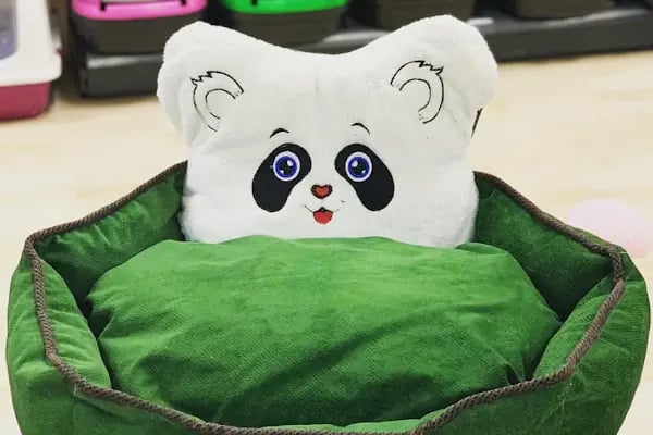 Ayyıldız Petshop - Resim 3