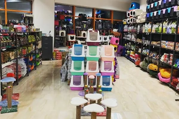 Ayyıldız Petshop - Resim 2