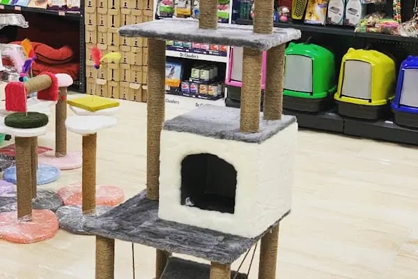 Ayyıldız Petshop - Resim 5