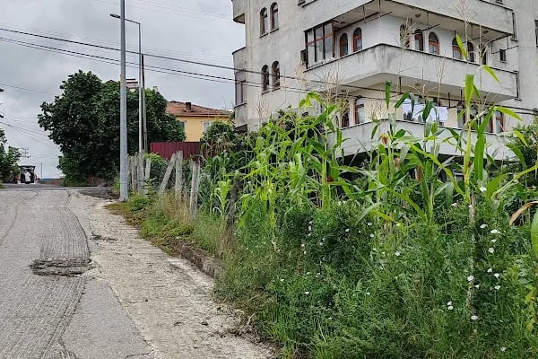 Trabzon Organik Solucan Gübresi Ve Solucan Satışı - Resim 2