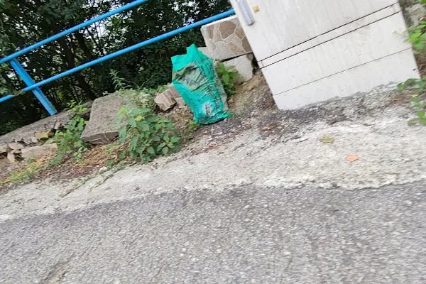 Trabzon Organik Solucan Gübresi Ve Solucan Satışı - Resim 16