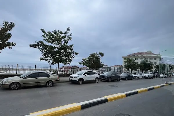 Ahmet Suat Özyazıcı Stadı - Resim 12