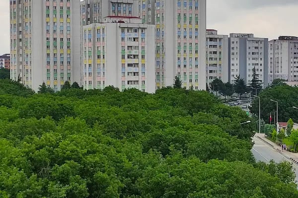 Tepe Emlak Konutları Mescidi - Resim 5