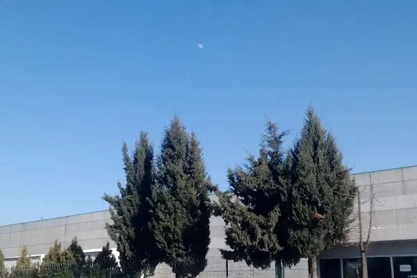 RECORDATİ İLAÇ ÇERKEZKÖY FABRİKASI - Resim 3