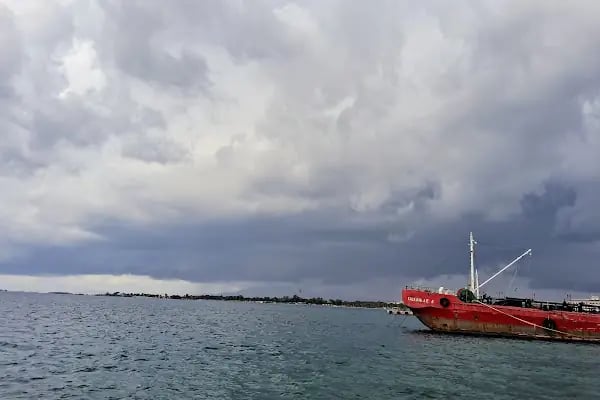 Marina Cafe - Resim 18