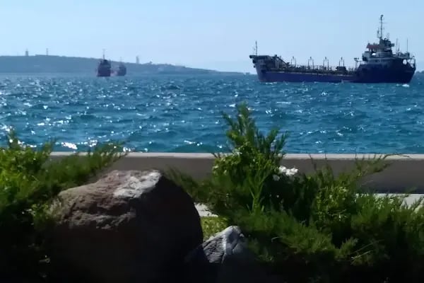 Marina Cafe - Resim 20