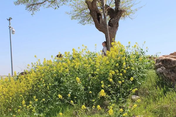 Polatoğlu Otopark - Resim 17