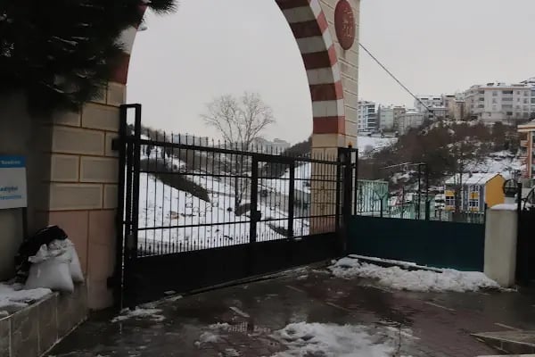 Boğazköy Şirindere Cami - Resim 10