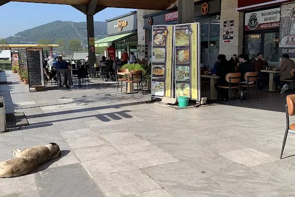 Oksijen Gemlik Station Service - Resim 11