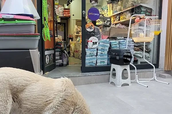 Maya Petshop BALÇOVA - Resim 10