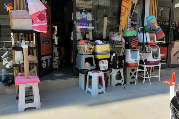 Maya Petshop BALÇOVA - Resim 5