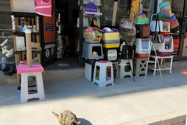 Maya Petshop BALÇOVA - Resim 11