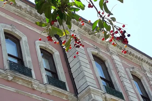 Karagöz'ün Oyun Evi - Resim 20