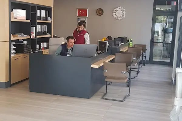 Gözübüyük Forestry Products - Resim 16