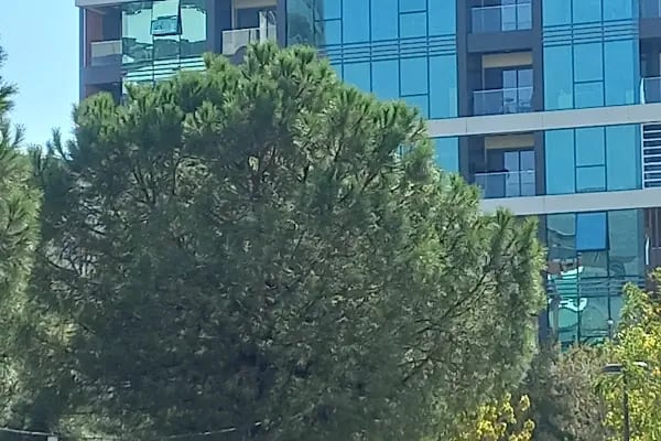 Kahyaoğlu Plaza - Resim 5