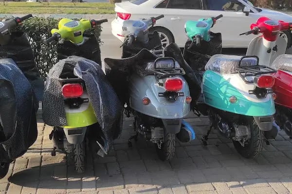 Bergama Altan Motor Mondial Tvs Cfmoto E-Mon - Resim 16