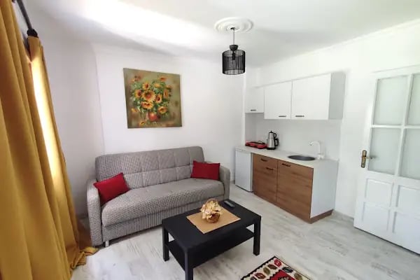 Fiko's Holiday House - Resim 5