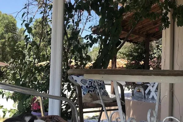 Fiko's Holiday House - Resim 17