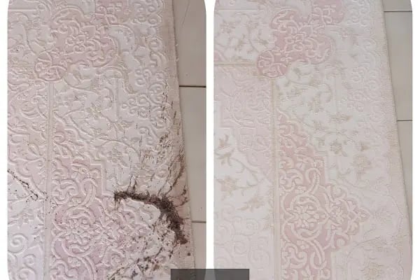 HİJYEN HALI YIKAMA FABRİKASI - Resim 12