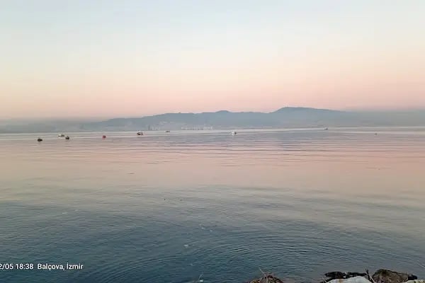 İncir6 - Resim 8