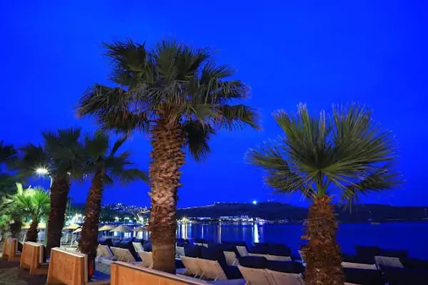 VERY CHIC BODRUM - Resim 8