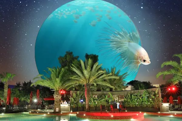 VERY CHIC BODRUM - Resim 7
