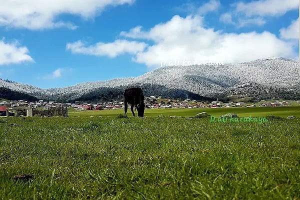 Çamlıdere Benli Yaylası - Resim 13