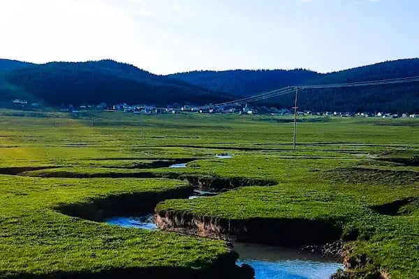Çamlıdere Benli Yaylası - Resim 15