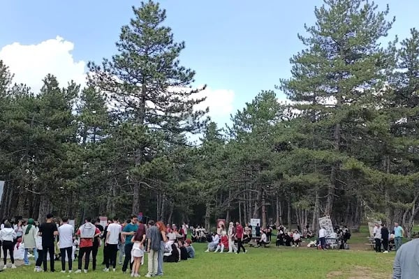 Çamlıdere Benli Yaylası - Resim 14
