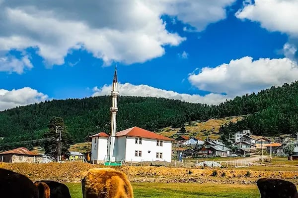 Çamlıdere Benli Yaylası - Resim 16