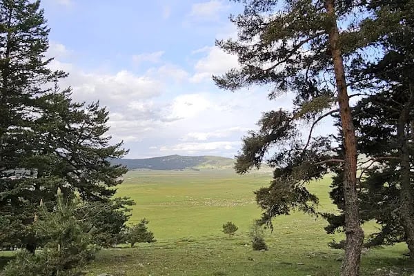 Çamlıdere Benli Yaylası - Resim 9