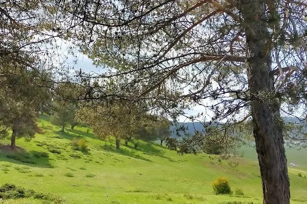 Çamlıdere Benli Yaylası - Resim 19