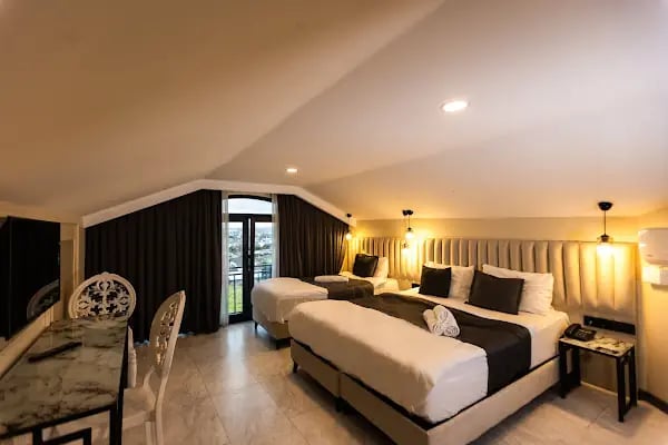 D Twins plus Hotel - Resim 2