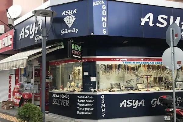 Asya Gümüş - Resim 6