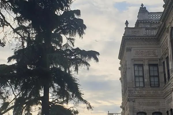 Kadıköy İlçe Nüfus Müdürlüğü - Resim 18