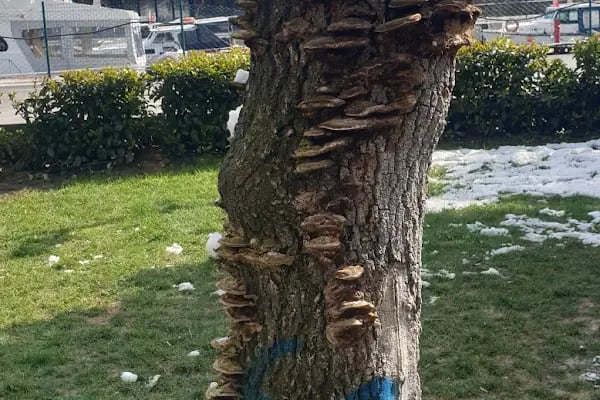 Kadıköy İlçe Nüfus Müdürlüğü - Resim 15