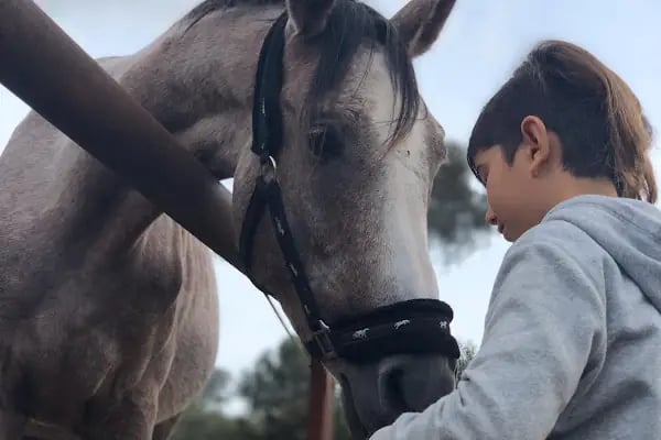 Texas ranch bodrum - Resim 2
