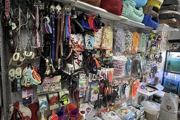 Aynalı Petshop - Resim 7