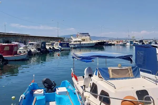 ALİAĞA SU ÜRÜNLERİ KOOPERATİFİ - Resim 16