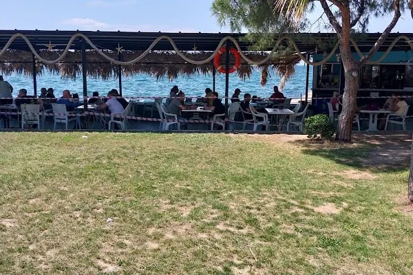 ALİAĞA SU ÜRÜNLERİ KOOPERATİFİ - Resim 18