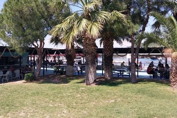 ALİAĞA SU ÜRÜNLERİ KOOPERATİFİ - Resim 5